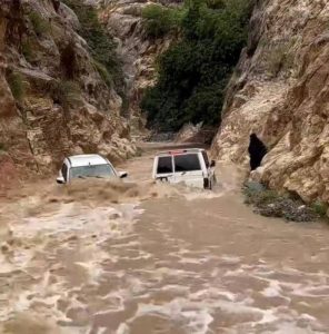 أبطال قصة إنقاذ أسرة وادي لجب بجازان: فقدنا الأمل في السيارة فلجأنا لسحبهم بالحبال