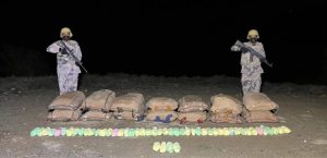 عسير: إحباط تهريب (330) كيلوغرامًا من نبات القات المخدر