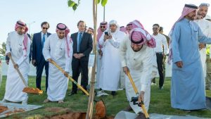 استمراراً لتشجير الأحياء السكنية.. «عرقة» يتزين بـ«الرياض الخضراء»