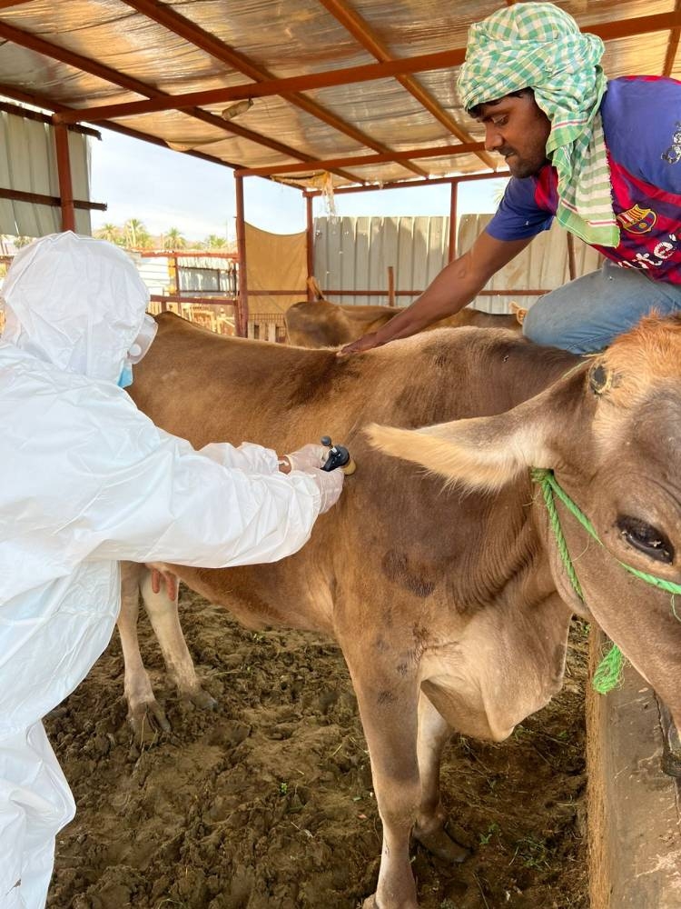 «وقاء» يُطلق الحملة الوطنية الأولى ضد مرض الحمى القلاعية