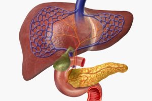 عادات يومية تساعدك على تحسين صحة هرمونات جسمك