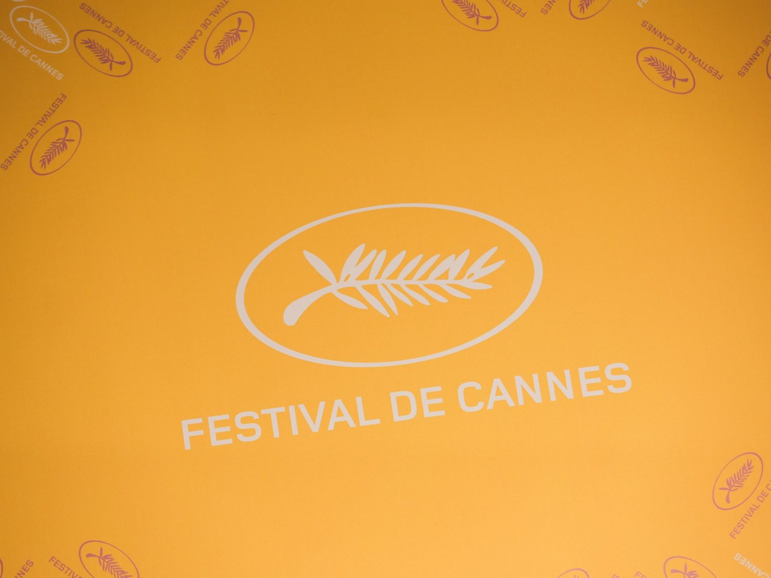 مسابقة جديدة للسينما التجريبية بمهرجان كان في دورته الـ77