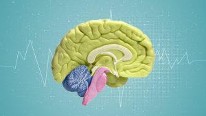 هذه الأعراض تنذر بالساركويد العصبي