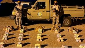 إحباط تهريب 150 كيلوجرامًا من نبات القات المخدر بقطاع الفرسان في جازان