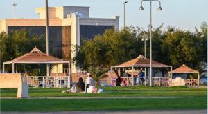 أمانة المدينة المنورة تنهي استعداداتها في تهيئة الحدائق والمنتزهات لاستقبال الأهالي خلال عيد الفطر