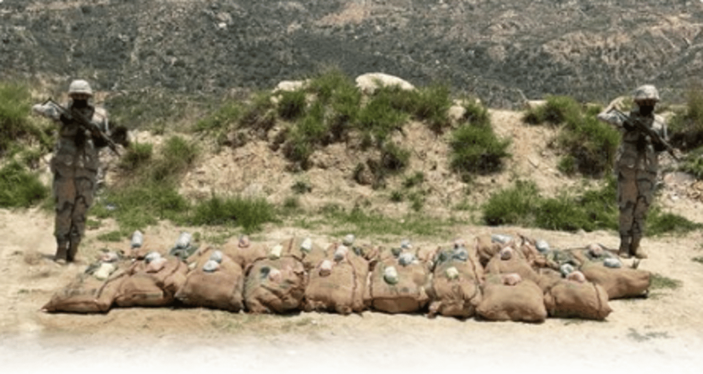 إحباط تهريب 435 كيلوجرامًا من القات المخدر في جازان