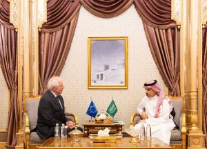 وزير الخارجية يبحث وممثل الاتحاد الأوروبي أوضاع غزة والتصعيد الأخير بالمنطقة