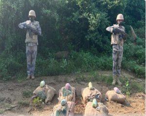 حرس الحدود بعسير يحبط تهريب 600 كيلوجرام من القات المخدر