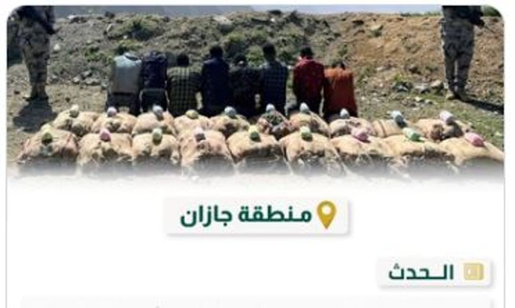 القبض على 8 مخالفين لنظام أمن الحدود لتهريبهم 240 كيلوجرامًا من نبات القات المخدر