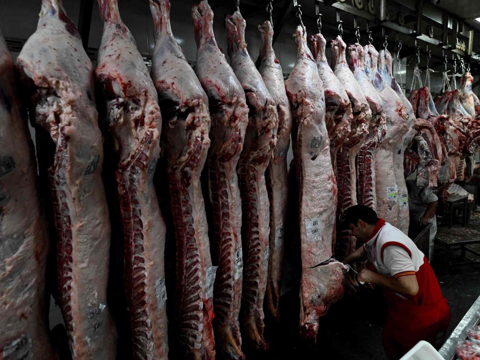 بينها دولة عربية.. أكبر 10 دول منتجة ومستوردة للحوم في العالم