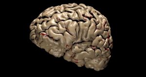 نصائح ألمانية لتدريب الدماغ