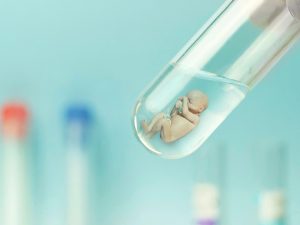 ضربة إسرائيلية واحدة تقضي على 5 آلاف من أجنة أطفال الأنابيب في غزة