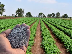 بلاستيك حيوي يُحول فوسفات المياه إلى سماد.. باستخدام قشر البيض