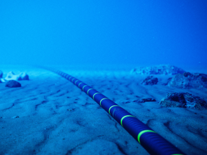 أسلاك الاتصالات البحرية.. شرايين تحت الماء تربط جميع أرجاء العالم