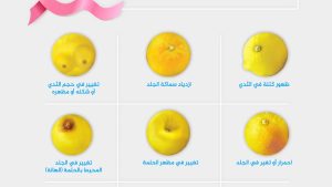 لجنة أميركية: المعرضات لخطورة متوسطة لسرطان الثدي يجب أن يخضعن للفحص في سن الـ40