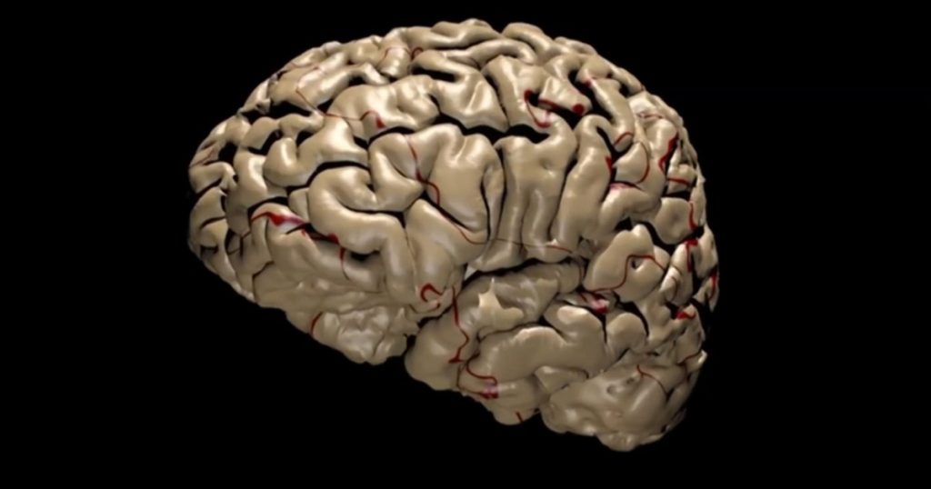 كيف يقرر الدماغ أي الذكريات يجب الاحتفاظ بها وأيها يجب التخلص منها؟