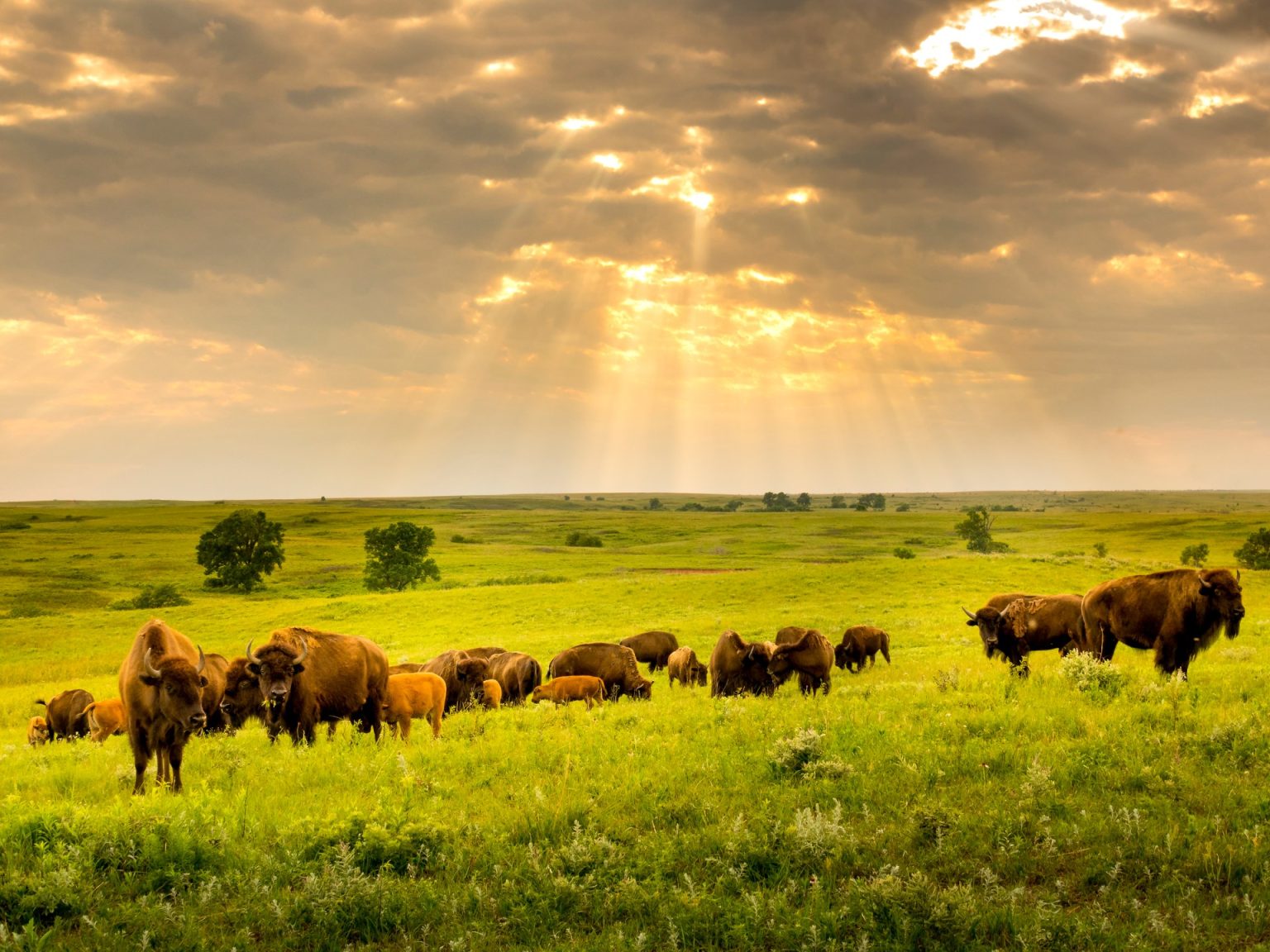 تقرير أممي: سُدس الإمدادات الغذائية للبشر في خطر