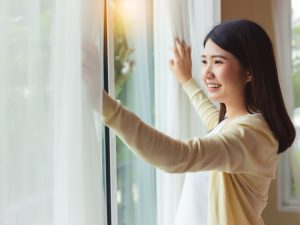 تكنولوجيا للنوافذ الذكية مدعومة بالبطاطس والذرة والفاصوليا