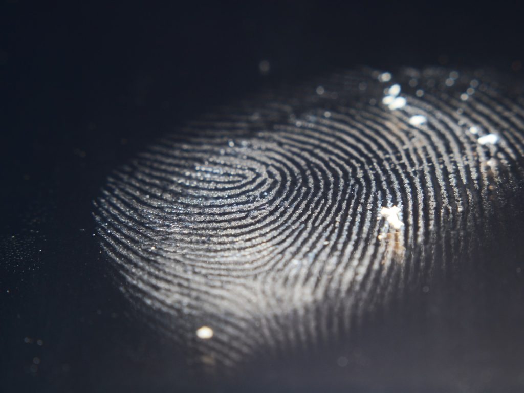 الميكروبات تحدد الهوية.. فتح جديد قد يقلب موازين الطب الشرعي