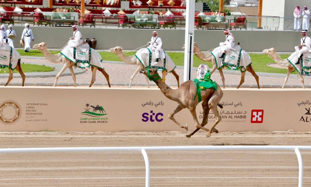توِّجت بكأس ولي العهد.. «العلا» تبهج السعوديين