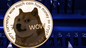 DOGE تكتسب قوة جذب في متاجر البيع بالتجزئة