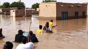 ارتفاع حصيلة ضحايا الأمطار والفيضانات في النيجر إلى 339 شخصًا
