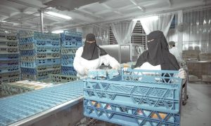 السعودية تتصدر العالم بأكبر تجمع غذائي في موسوعة «غينيس»