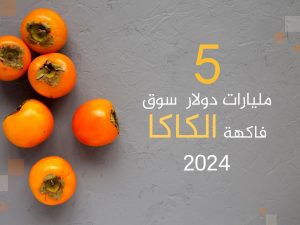 فاكهة الشتاء الذهبية.. أكبر 10 دول تنتج وتصدر “الكاكا” بالعالم