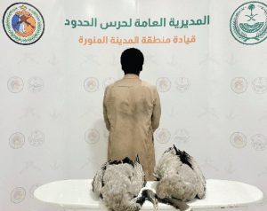 ضبط مواطن لارتكابه مخالفة الصيد في أماكن محظور الصيد فيها بينبع