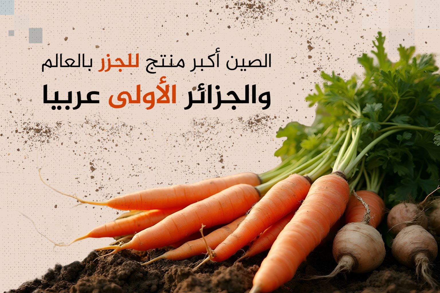 تعرف على أكبر منتجي الجزر بالعالم.. الجزائر والمغرب يتصدران العرب