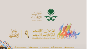 100 فردية في فئة «السواحل» تفتتح أول أشواط الجمل في مهرجان الملك عبدالعزيز