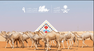 %60 نموا في سوق نقل الإبل مع انطلاق مهرجان الملك عبدالعزيز بنسخته التاسعة
