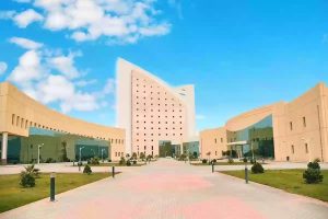 التقديم بدأ اليوم.. تفاصيل وظائف جامعة نجران 1446 والتخصصات المطلوبة