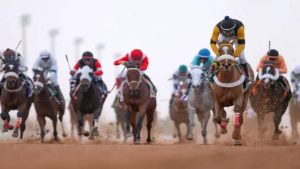ميدان الفروسية بالمدينة المنورة ينظم اليوم الحفل السادس لسباقات الخيل