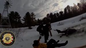 فيديو. في مشهد مؤثر.. فرق الإنقاذ تنقذ حصانًا من الغرق في بركة متجمدة بنيويورك