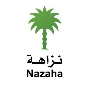 ما هي قواعد إجراء التسويات المالية مع من ارتكبوا جرائم فساد؟