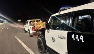 دوريات الأمن بالجوف تضبط مخالفاً لنظام البيئة