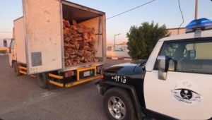 دوريات الأمن بالقصيم تضبط مخالفاً لنظام البيئة