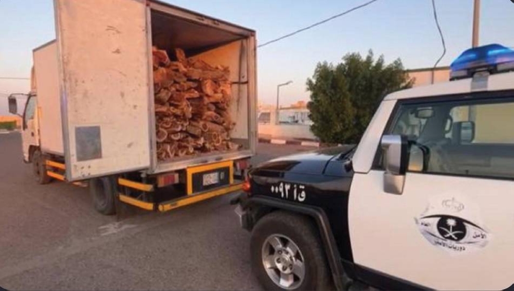 دوريات الأمن بالقصيم تضبط مخالفاً لنظام البيئة