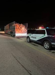الجوف: ضبط مقيم مخالف لنظام البيئة بحوزته حطب محلي معروض للبيع
