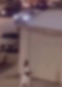 الجهات الأمنية بالرياض تباشر واقعة إطلاق نار بين أشخاص مرتبطة بجرائم مخدرات