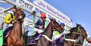 ميدان فروسية حائل ينظم اليوم حفل سباقه الثاني عشر