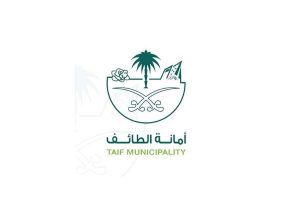 أمانة الطائف: 3400 جولة رقابية على المنشآت التجارية والصحية خلال ديسمبر