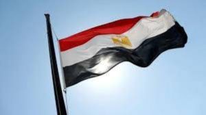 مصر: تمويلات ميسرة مع أوروبا لدعم استيراد القمح