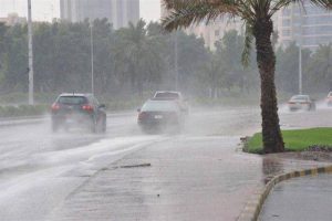«البيئة»: هطول أمطار في 8 مناطق.. الجوف أعلى كمية بـ«17.8 ملم»