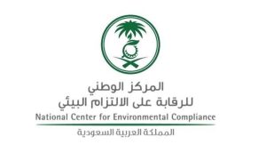 الالتزام البيئي: "أبها" الأنقى هواءً في المملكة خلال عام 2024