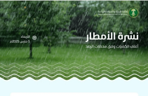 «البيئة»: مكة المكرمة تسجّل أعلى كمية لهطول الأمطار بـ28.0 ملم في قصير بالجموم