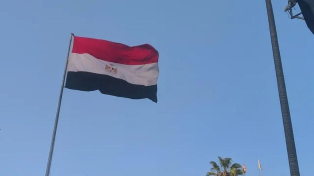 خلافات عائلية تتحوّل إلى مأساة: مقتل سيدة على يد زوج ابنتها في مصر