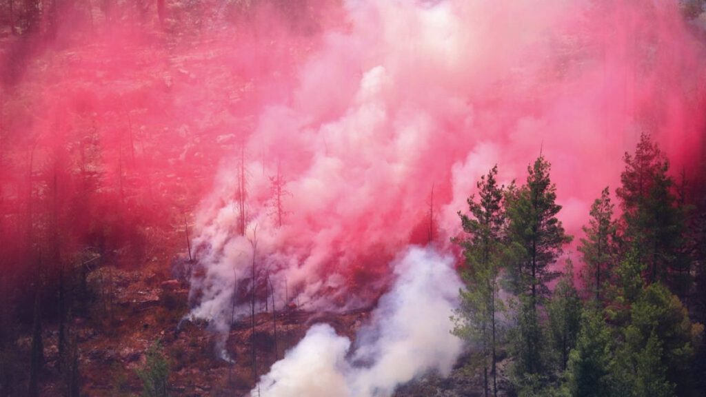 الحرائق في جبال القدس: النيران التهمت 10 آلاف دونم من الأراضي الحرجية