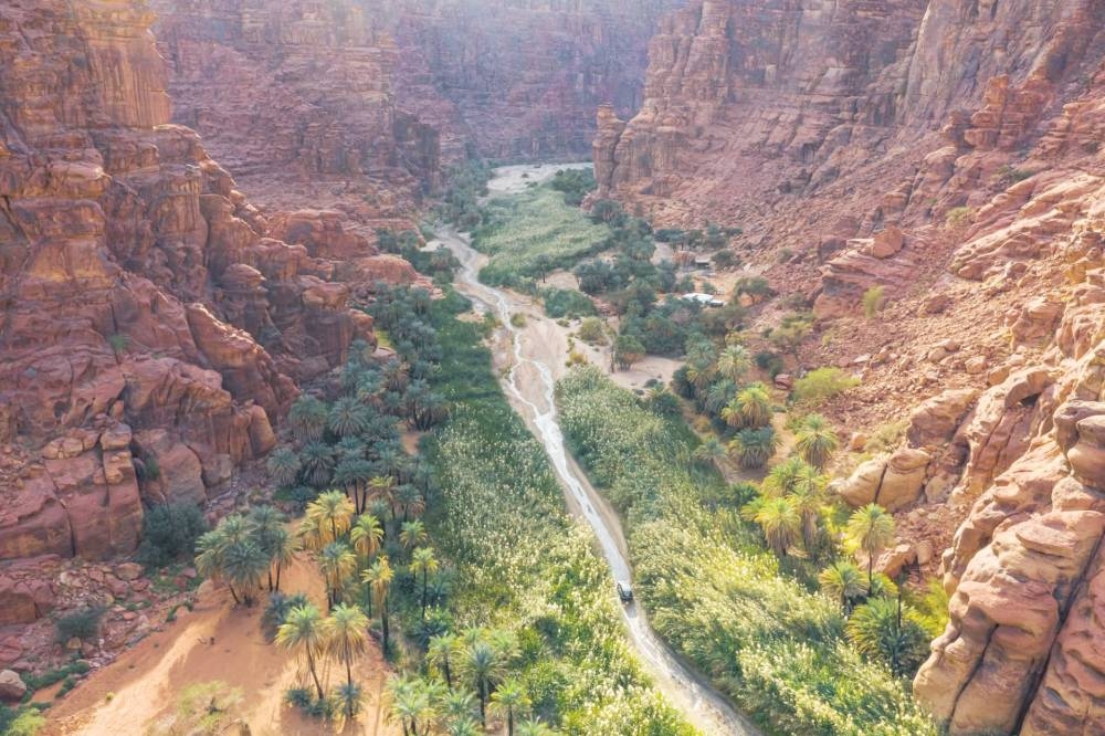 «السياحة»: 89 % نمو في مرافق الضيافة.. الترخيص لـ 4,425 مرفقاً